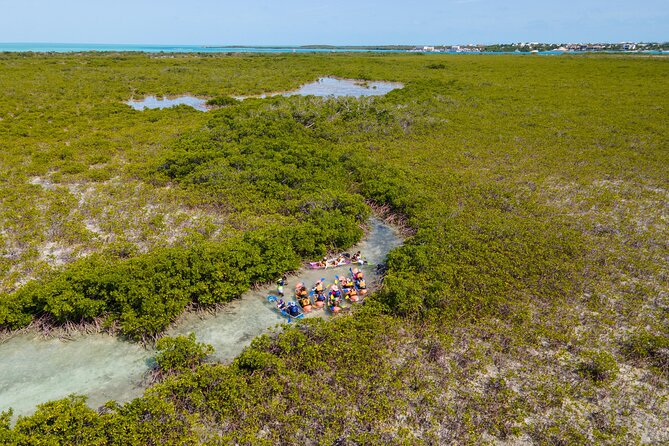2 Hours Clear Kayaking Activity on Mangrove Cay - Key points to know before you book