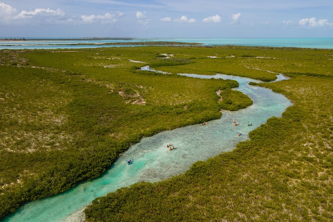 2 Hours Clear Kayaking Activity on Mangrove Cay - Starting at Caribbean Cruisin in Leeward