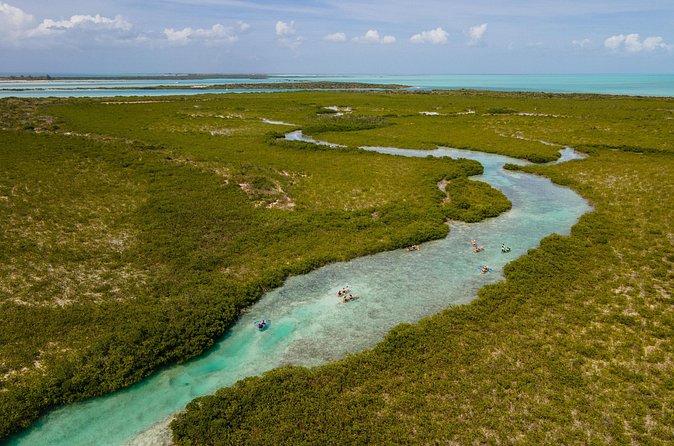 2 Hours Clear Kayaking Activity on Mangrove Cay - When calm water turns into a mild adventure
