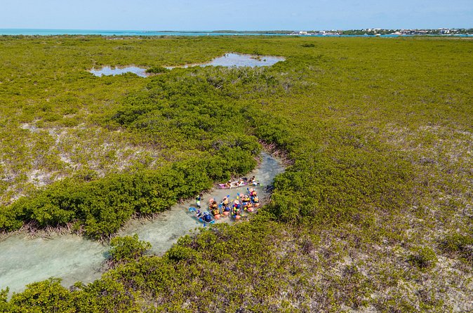 2 Hours Clear Kayaking Activity on Mangrove Cay - Who will enjoy this two-hour paddle