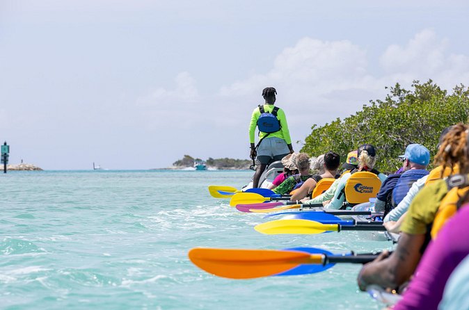 2 Hours Clear Kayaking Activity on Mangrove Cay - Booking, weather, and cancellation details