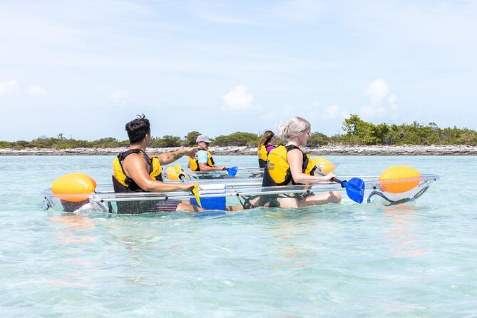 2 Hours Clear Kayaking Activity on Mangrove Cay - A gentle start through the mangroves