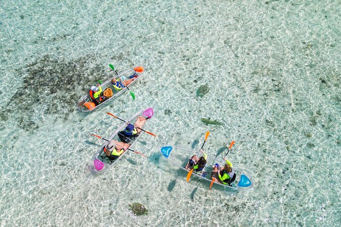 3HR Clear Kayak Mangrove and iguana island Tour in Leeward - The details that matter most
