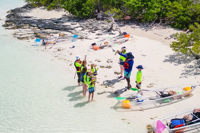 3HR Clear Kayak Mangrove and iguana island Tour in Leeward - What this three-hour trip is really like
