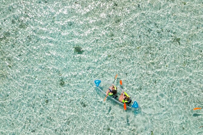 3HR Clear Kayak Mangrove and iguana island Tour in Leeward - Guides can make or break the day