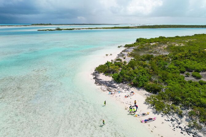 3HR Clear Kayak Mangrove and iguana island Tour in Leeward - Who will get the best value