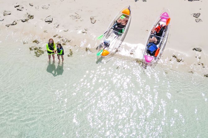 3HR Clear Kayak Mangrove and iguana island Tour in Leeward - Meeting at Leeward’s Walkin Marina