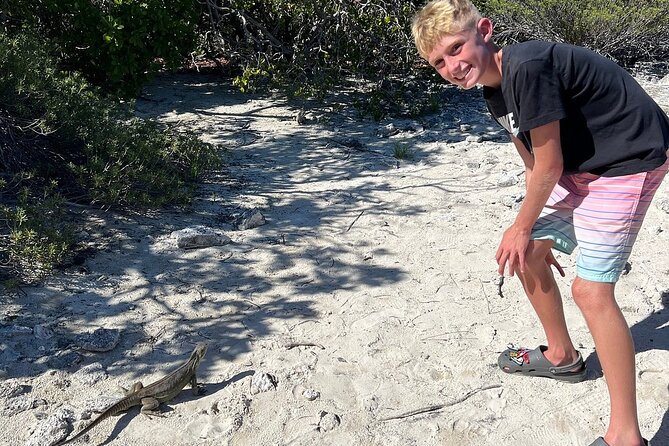 3hr Clear Kayak Tour of Mangroves, Marine Life and Iguanas - Physical Effort and What the Three Hours Feel Like