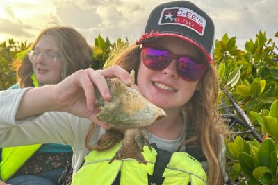 3hr Clear Kayak Tour of Mangroves, Marine Life and Iguanas