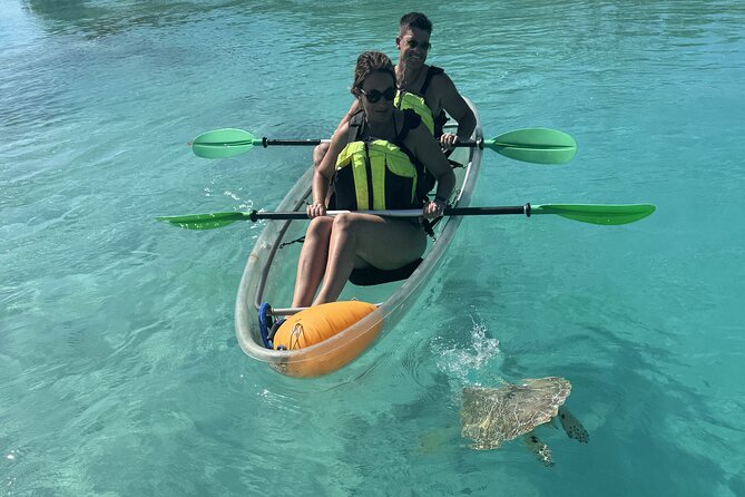 3hr Clear Kayak Tour of Mangroves, Marine Life and Iguanas - Booking, Weather, and Cancellation Advice