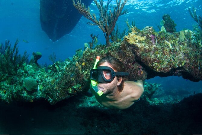 3HR Emerald reef snorkeling, iguana island and shipwreck tour - Key points at a glance