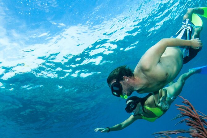 3HR Emerald reef snorkeling, iguana island and shipwreck tour - Little Water Cay and Iguana Island