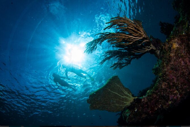 3HR Emerald reef snorkeling, iguana island and shipwreck tour - Food, drinks, and the mood on board