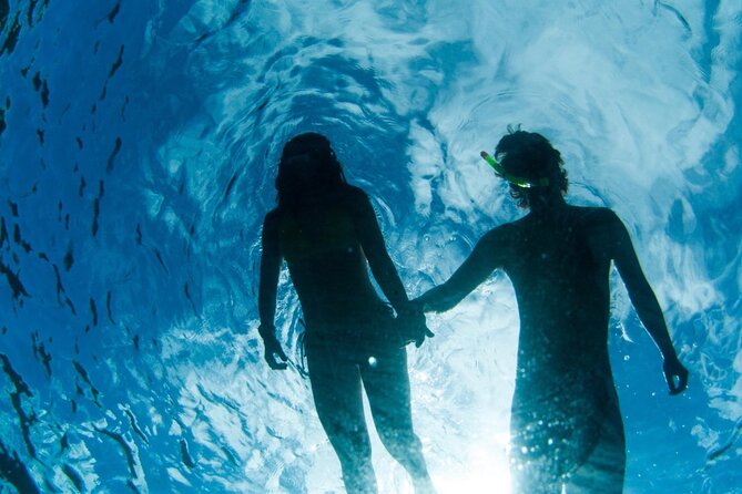 3HR Emerald reef snorkeling, iguana island and shipwreck tour - Emerald Reef and the first look beneath the surface