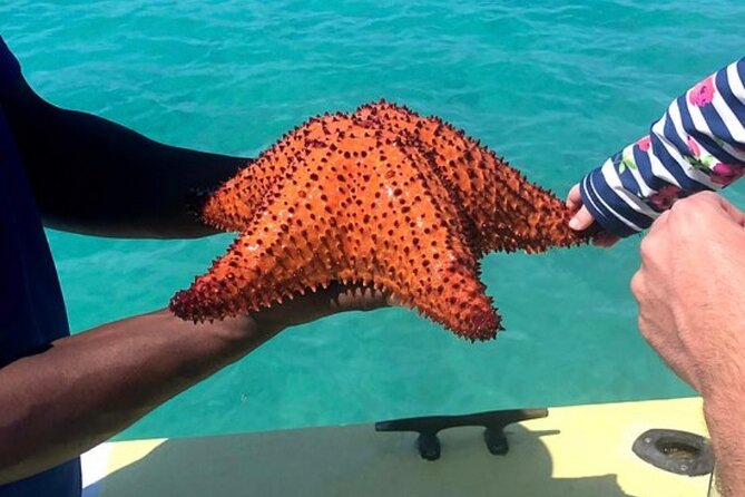 3hr Seaside Scavenger hunt - Fresh conch, prepared on the boat