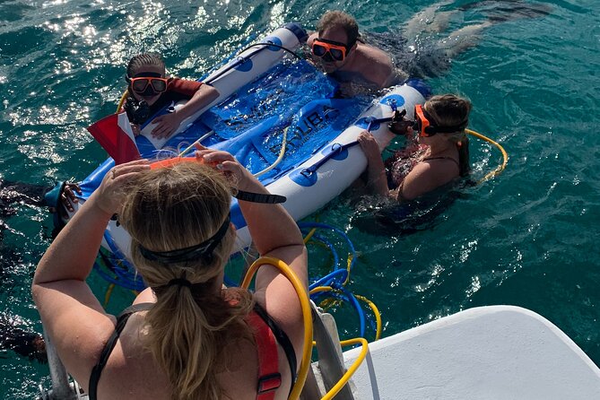 3HR Snuba, shipwreck and Iguana island tour - Key points at a glance