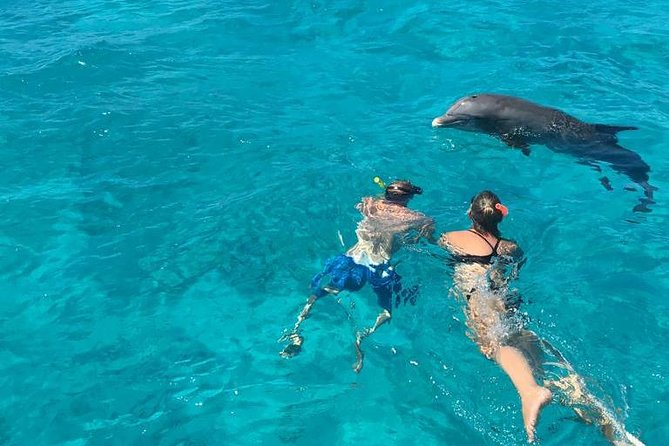 4-Hour Catamaran Sail and Snorkel Tour from Grace Bay - The reef stop and warm turquoise water