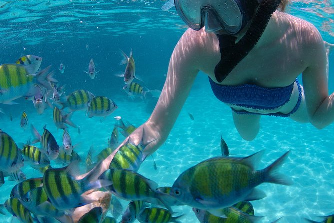 4-Hour Catamaran Sail and Snorkel Tour from Grace Bay - Who should book this Grace Bay catamaran tour?