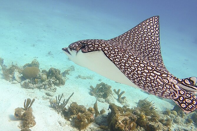 4 Hour Private Catamaran Sail and Snorkel from Grace Bay Beach, Providenciales - Half Moon Bay and its walking trail