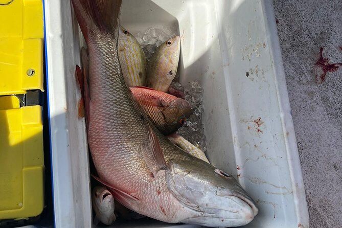 4HR-Halfday Private Fishing Tour in Gracebay - The Crew, Music, and Onboard Mood