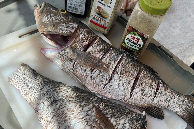 4HR-Halfday Private Fishing Tour in Gracebay - Weather, Cancellations, and Refund Rules