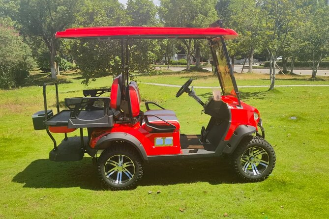 4Seater UTV Golf Cart in Grand Turk - Service, cart condition, and possible problems
