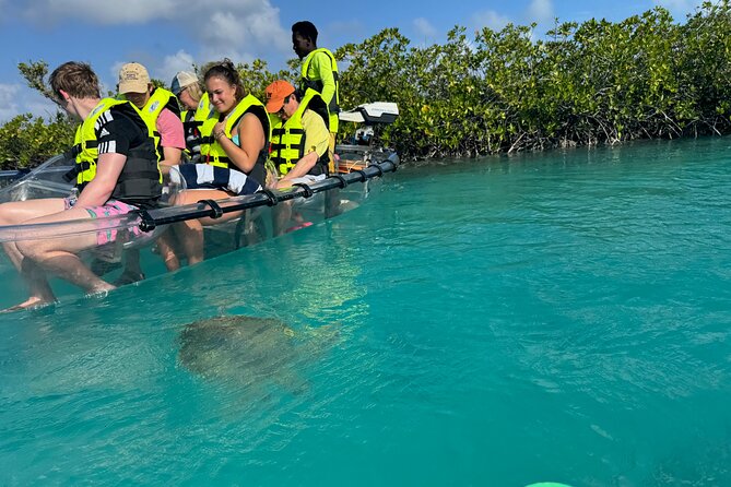 6-Passenger Motorized Clear Kayak Mangrove Tour in Providenciales - Why the motor matters on a two-hour tour