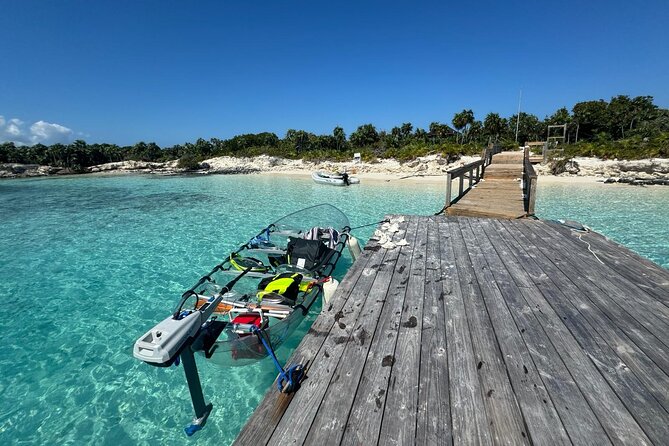 6-Passenger Motorized Clear Kayak Mangrove Tour in Providenciales - Wildlife watching from below and above