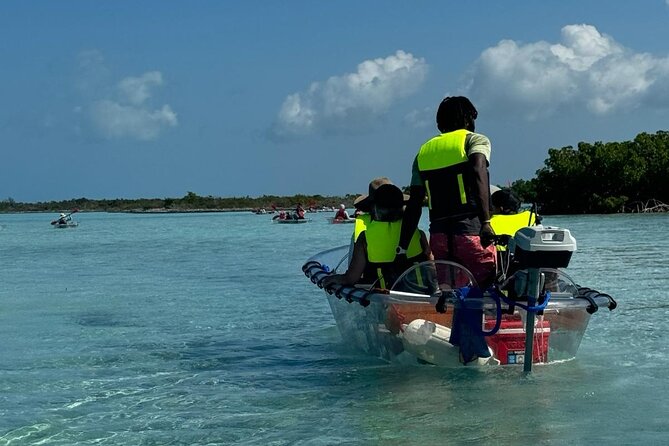 6-Passenger Motorized Clear Kayak Mangrove Tour in Providenciales - A private boat for six, or an expensive ride for two