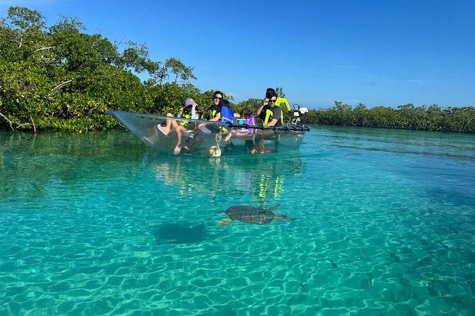 6-Passenger Motorized Clear Kayak Mangrove Tour in Providenciales - What the tour does well, and where it falls short