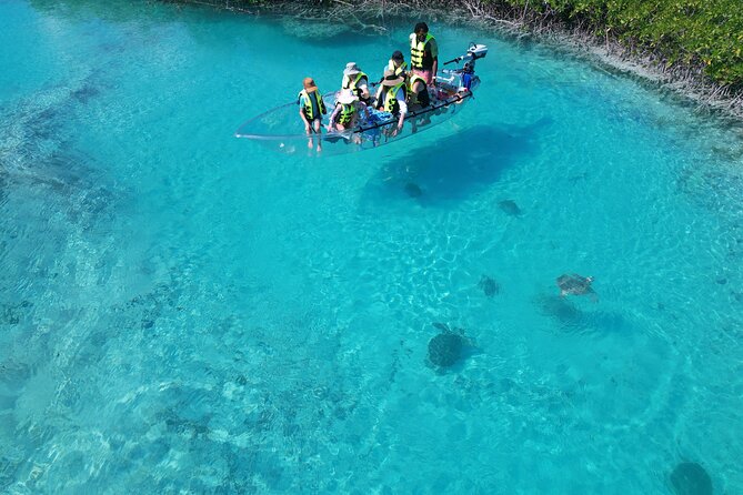 6-Passenger Motorized Clear Kayak Mangrove Tour in Providenciales - What to bring and how to prepare
