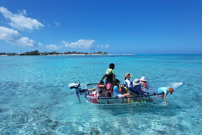 6-Passenger Motorized Clear Kayak Mangrove Tour in Providenciales - Booking, cancellation, and timing advice