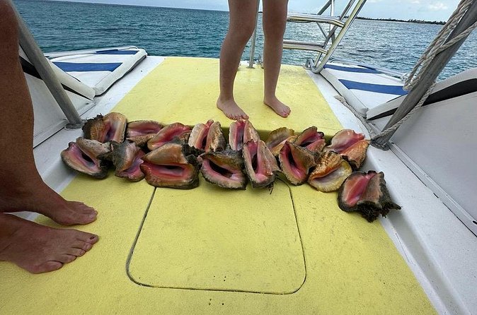 6HR-Provo Cays exploration with Lunch in Gracebay - Is the $234.80 price good value?