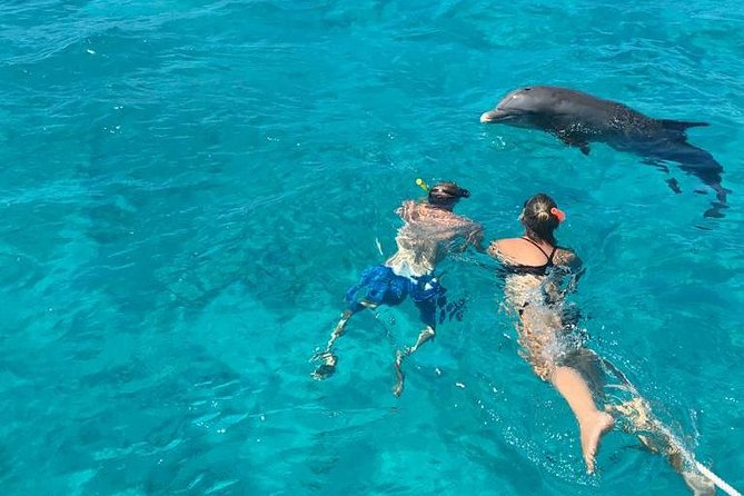 7 Hour Private Catamaran Sail, Snorkel and Beach BBQ Grace Bay, Providenciales - Snorkeling near the world’s third-largest barrier reef