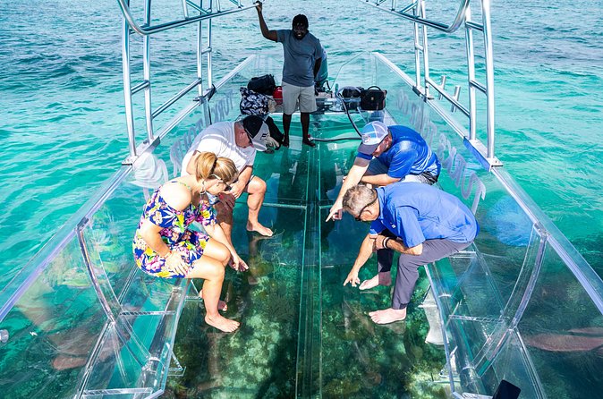 75 Minutes Clear Boat Tour in Caicos Island - Who will enjoy this most?