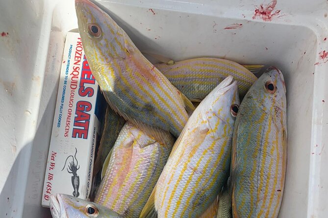 8HR Catch and Grill in Turks and Caicos Islands - Fishing for snapper, grouper, and parrot fish