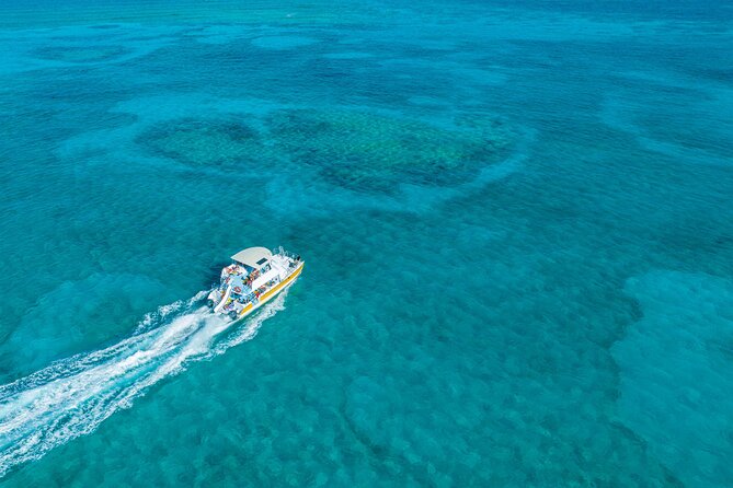 Afternoon Half Day Cruise from Providenciales with Snorkeling and Iguana Island - Why This Four-Hour Cruise Works So Well