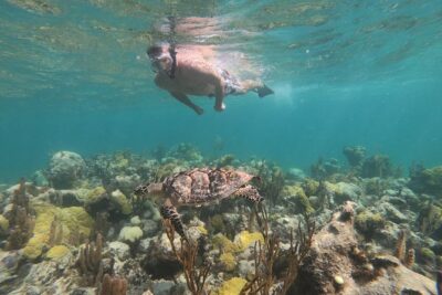 Afternoon Half Day Cruise from Providenciales with Snorkeling and Iguana Island