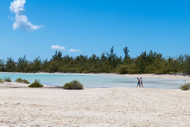 Afternoon Half Day Cruise from Providenciales with Snorkeling and Iguana Island - Crew Service and Safety