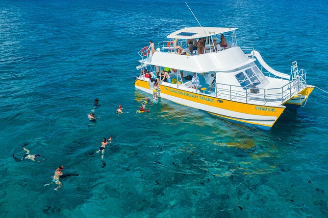 Afternoon Half Day Cruise from Providenciales with Snorkeling and Iguana Island - Is $159.30 a Fair Price?