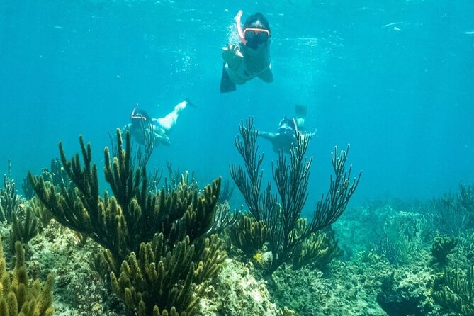 All Day Adventure with a Beach BBQ Feast from Providenciales - What $225 Buys You