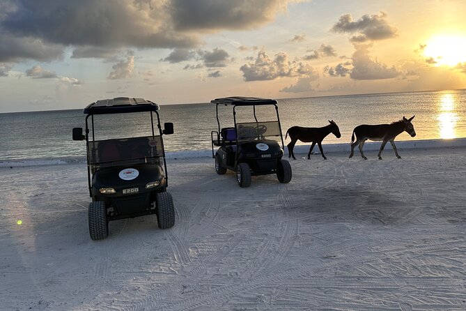 BMC Rentals -Golf Carts & Jeep Wrangler in Grand Turks - Why a golf cart fits Grand Turk so well
