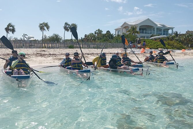 Clear Bottom Kayaks Mangrove Tour - Inside the clear kayaks