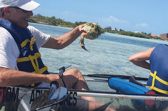 Clear Bottom Kayaks Mangrove Tour - Is $125 a fair price?