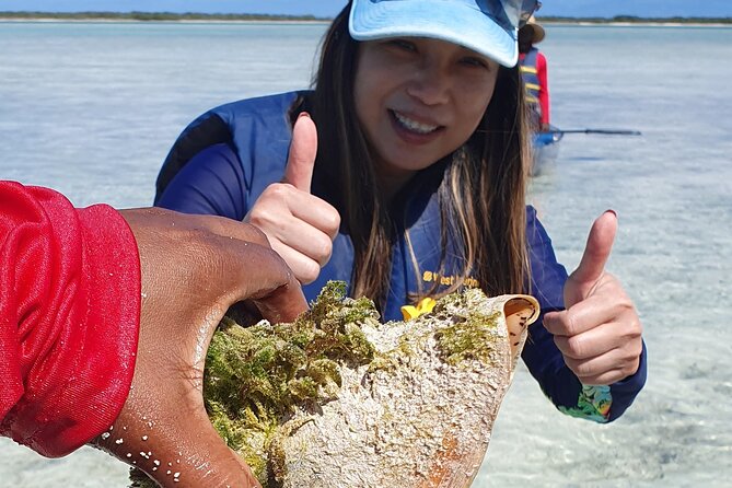 Clear Bottom Kayaks Mangrove Tour - Who should book this tour