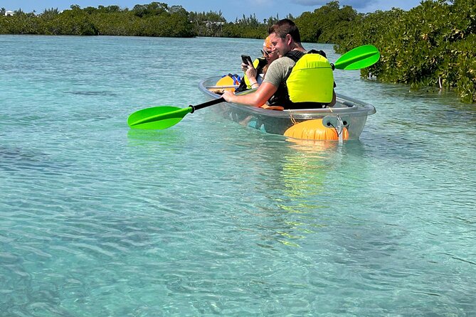Clear Kayak Eco Tour Explore Mangroves and Meet the Turtles - Is $112 a fair price?