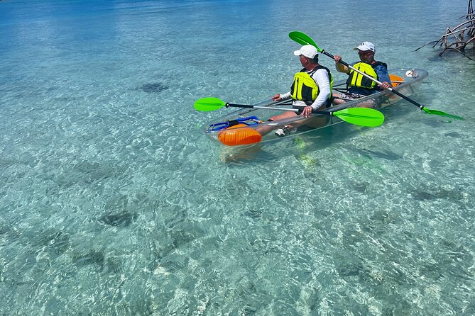 Clear Kayak Eco Tour Explore Mangroves and Meet the Turtles - Who should book this experience?