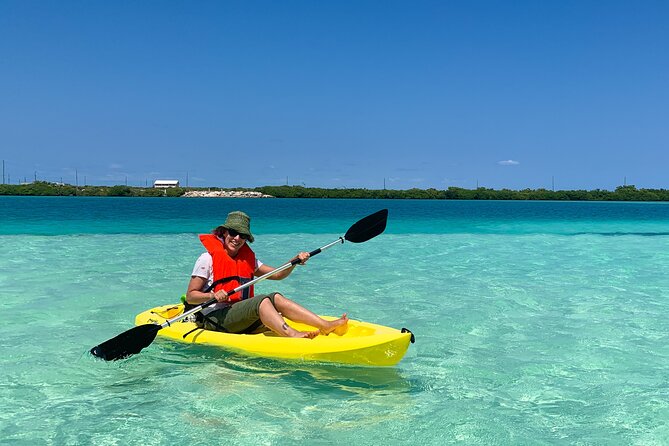 Clear kayak Grand Turk Island Kayak Tour of the mangroves - Key points at a glance