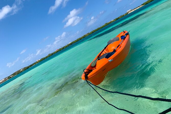 Clear kayak Grand Turk Island Kayak Tour of the mangroves - Why North Creek makes a good kayak setting