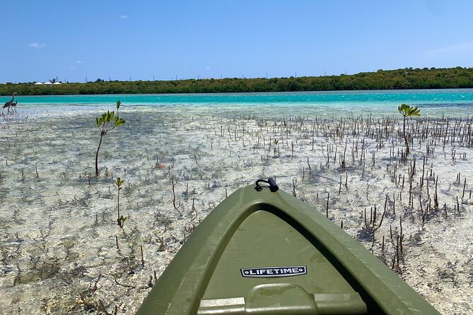 Clear kayak Grand Turk Island Kayak Tour of the mangroves - The dredging barge wreck and Taino canoe paddle